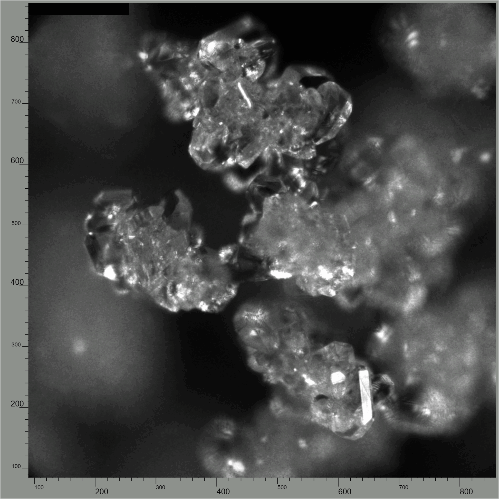 Monohydrate Form Advancing Crystallization Process Development with In-line PAT Tools - TAPI